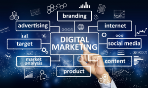 Small Business SEO