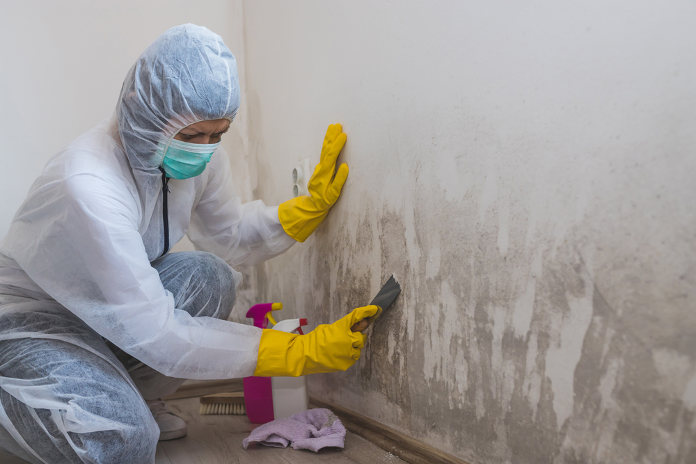 Mold Removal Lead Generation agency
